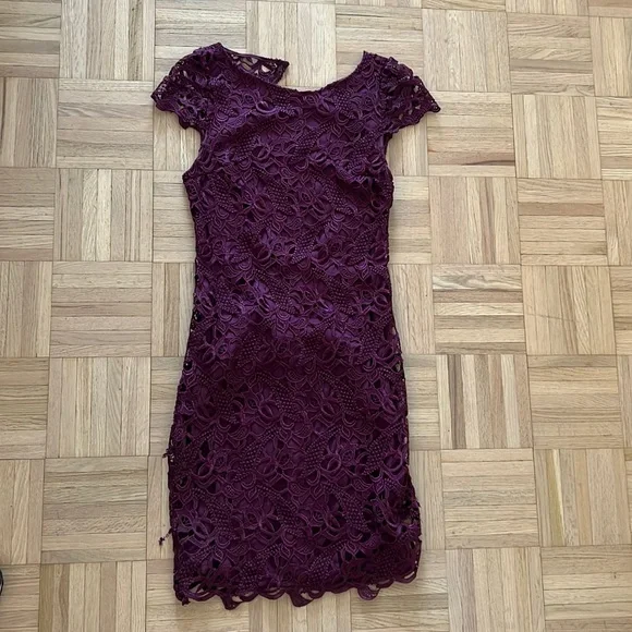 Alice and Olivia lace dress Alice and Olivia lace dress